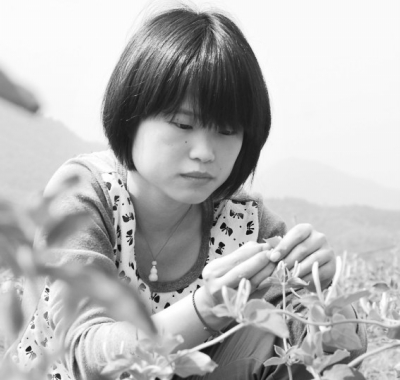 “金银花姑娘”钱林君